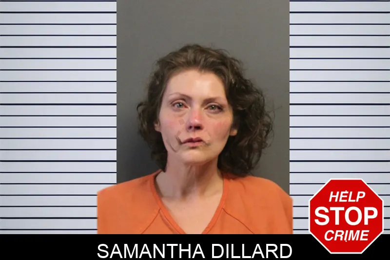 Samantha Dillard mugshot – Lumpkin County , Georgia Samantha Dillard mugshot