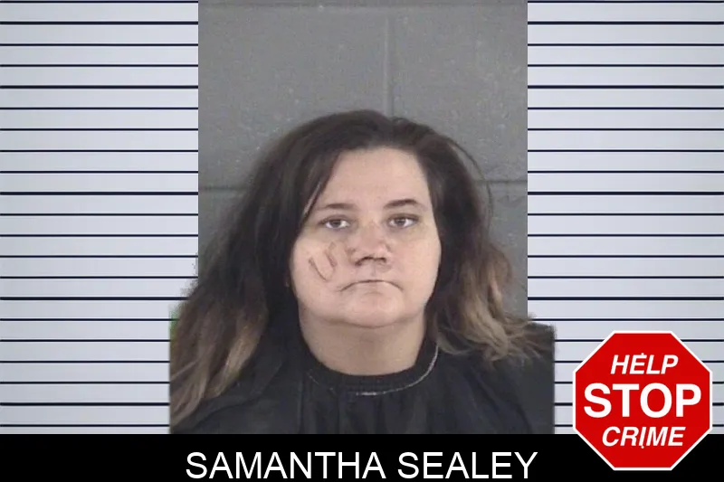 Samantha Sealey mugshot