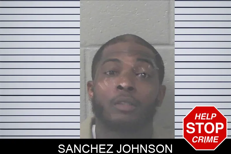 Sanchez Johnson mugshot