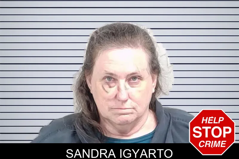 Sandra Igyarto mugshot – Lowndes County , Georgia Sandra Igyarto mugshot