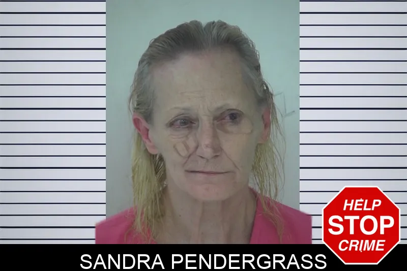 Sandra Pendergrass mugshot – Fayette County , Georgia Sandra Pendergrass mugshot