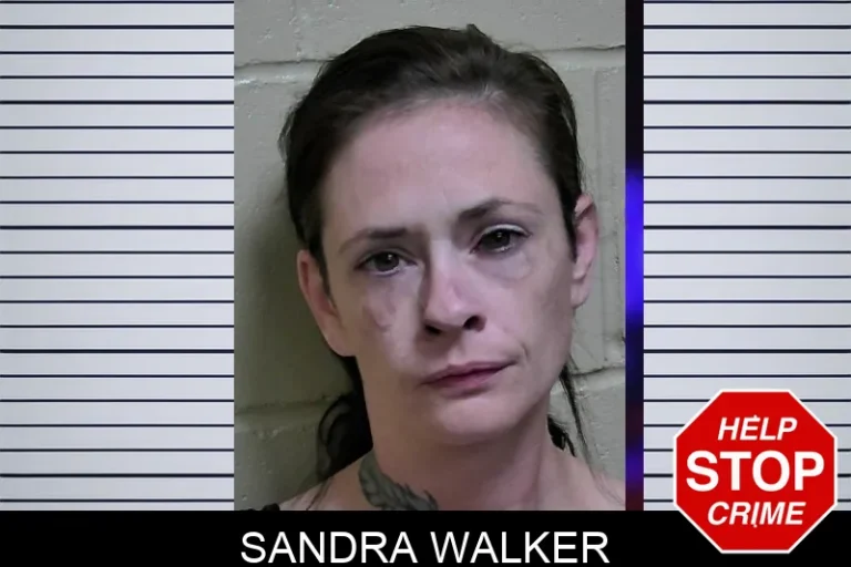 Sandra Walker mugshot – Montgomery County , Georgia Sandra Walker