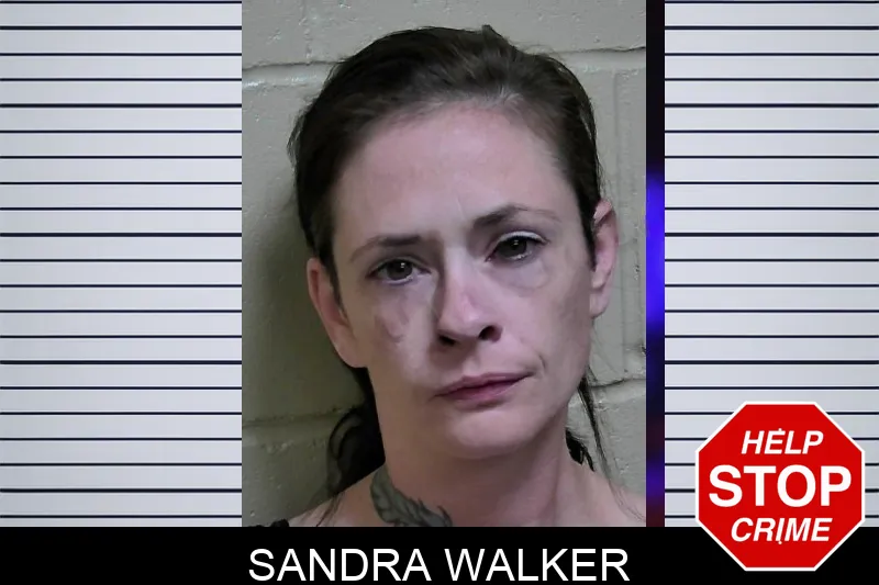 Sandra Walker mugshot – Montgomery County , Georgia Sandra Walker mugshot