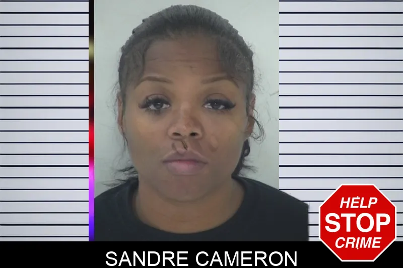 Sandre Cameron mugshot – Fayette County , Georgia Sandre Cameron mugshot