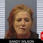 Sandy Wilson mugshot – Chattooga County , Georgia Sandy Wilson mugshot