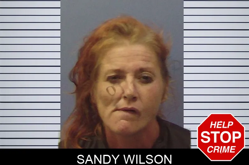Sandy Wilson mugshot