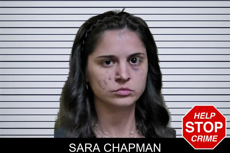 Sara Chapman mugshot – Montgomery County , Georgia Sara Chapman mugshot