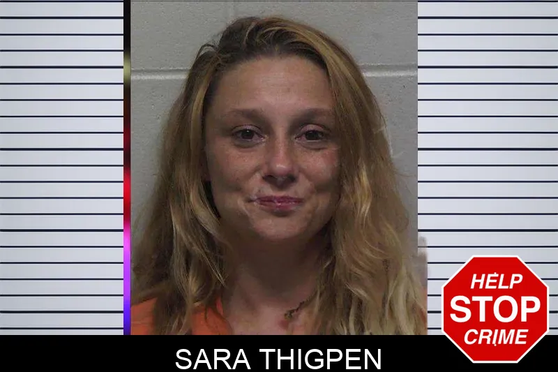 Sara Thigpen mugshot – Laurens County , Georgia Sara Thigpen mugshot