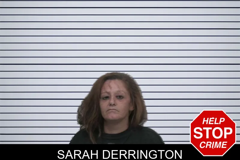 Sarah Derrington mugshot