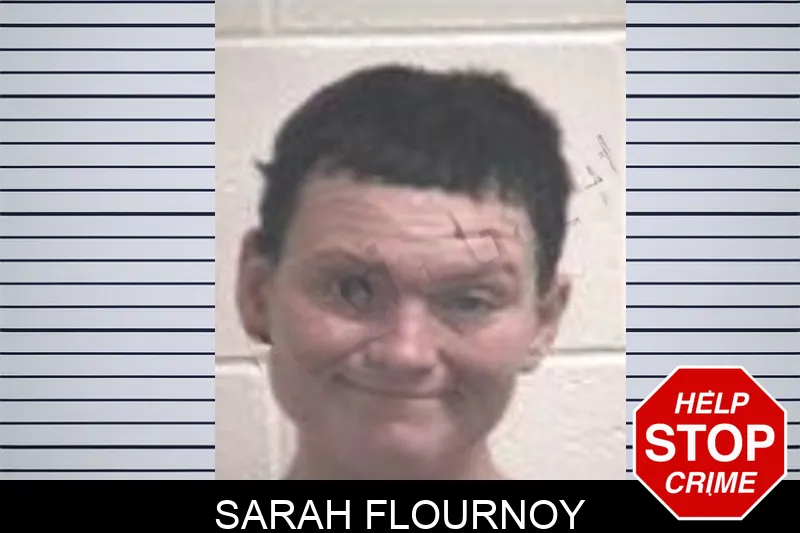 Sarah Flournoy mugshot
