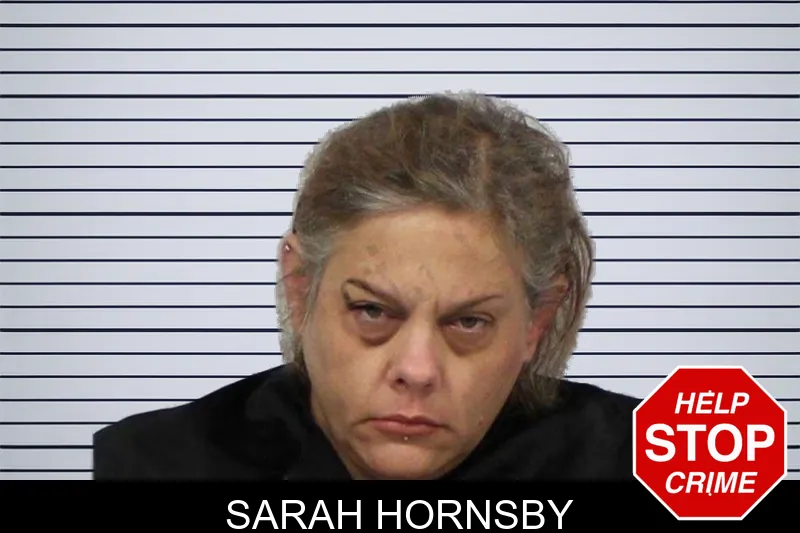 Sarah Hornsby mugshot – Carroll County , Georgia Sarah Hornsby mugshot