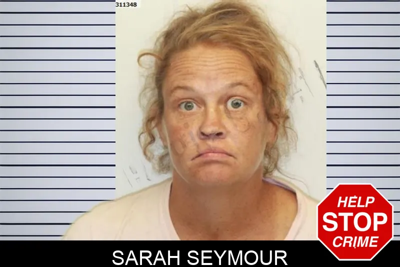 Sarah Seymour mugshot – Chatham County , Georgia Sarah Seymour mugshot