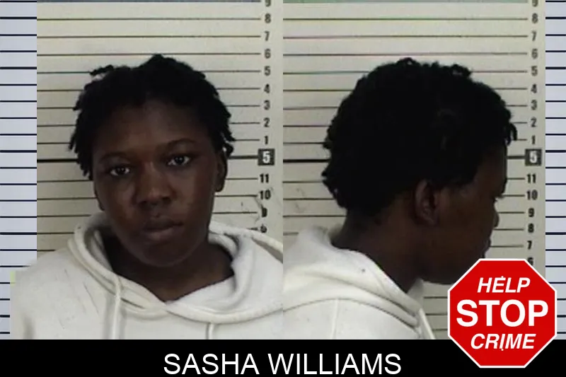Sasha Williams mugshot – Camden County , Georgia Sasha Williams mugshot