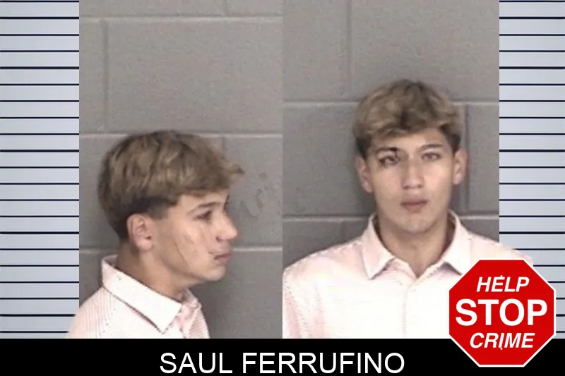 Saul Ferrufino mugshot – Barrow County , Georgia Saul Ferrufino mugshot