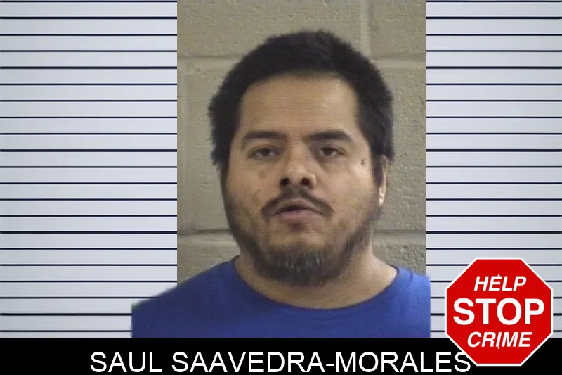 Saul Saavedra-Morales mugshot – Whitfield County , Georgia Saul Saavedra-Morales mugshot