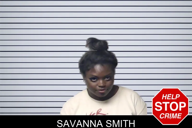 Savanna Smith mugshot – DeKalb County , Georgia Savanna Smith mugshot