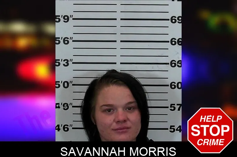 Savannah Morris mugshot – Hart County , Georgia Savannah Morris mugshot