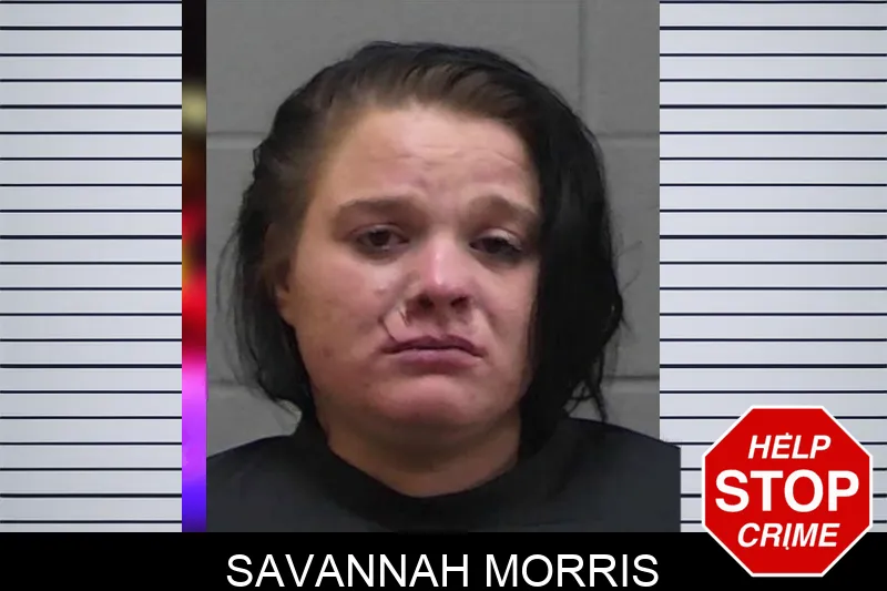 Savannah Morris mugshot – Madison County , Georgia Savannah Morris mugshot