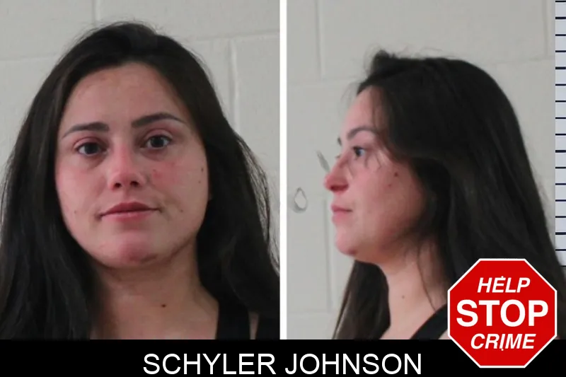 Schyler Johnson mugshot – Houston County , Georgia Schyler Johnson mugshot