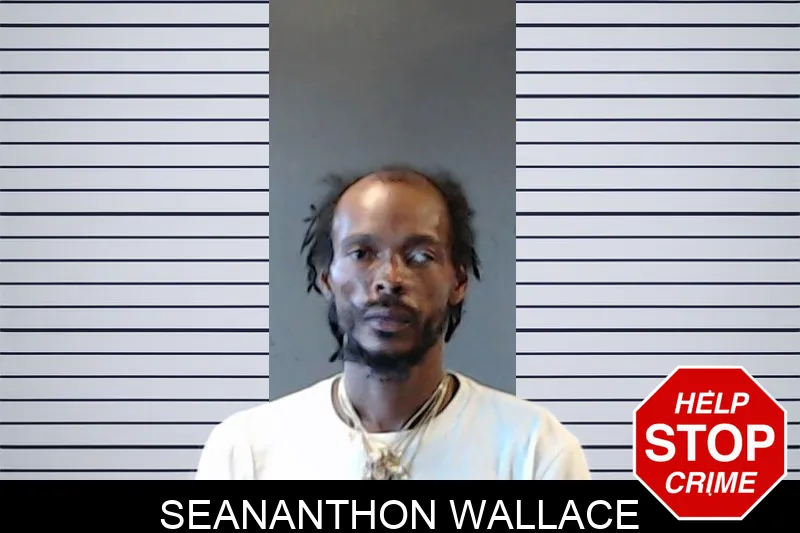 Seananthon Wallace mugshot – DeKalb County , Georgia Seananthon Wallace mugshot