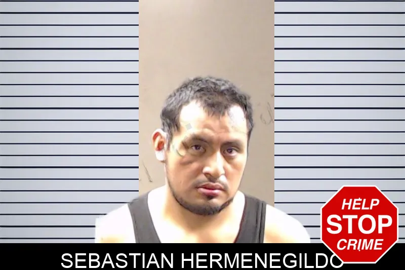 Sebastian Hermenegildo mugshot – DeKalb County , Georgia Sebastian Hermenegildo mugshot