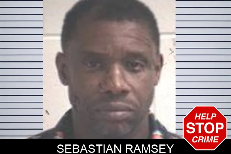 Sebastian Ramsey mugshot – Henry County , Georgia Sebastian Ramsey mugshot