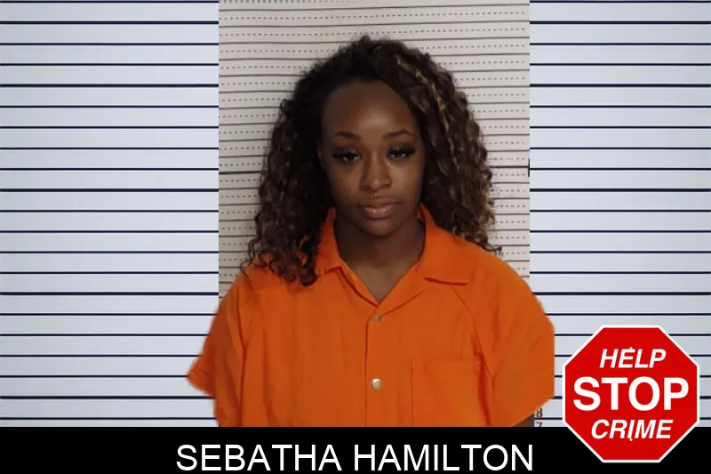 Sebatha Hamilton mugshot