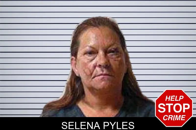 Selena Pyles mugshot – Polk County , Georgia Selena Pyles mugshot