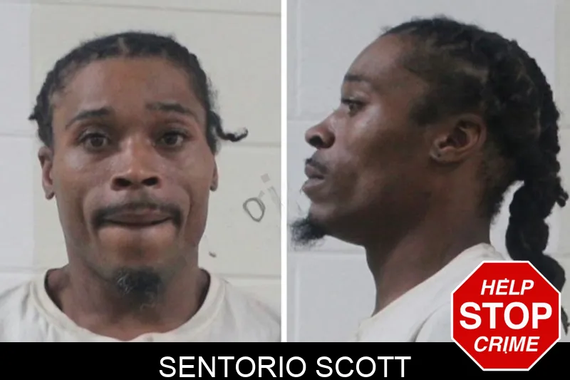 Sentorio Scott mugshot – Houston County , Georgia Sentorio Scott mugshot