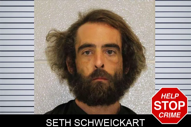 Seth Schweickart mugshot