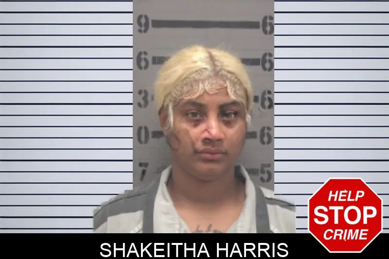 Shakeitha Harris mugshot – Dougherty County , Georgia Shakeitha Harris mugshot
