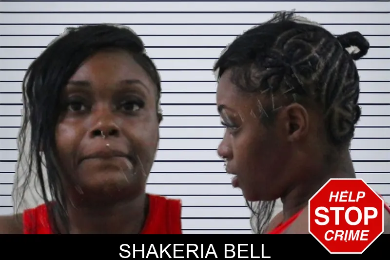 Shakeria Bell mugshot – Houston County , Georgia Shakeria Bell mugshot
