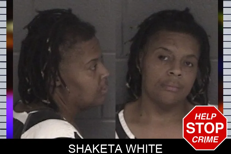 Shaketa White mugshot – Barrow County , Georgia Shaketa White mugshot