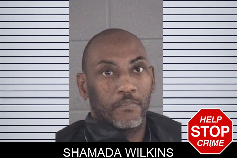 Shamada Wilkins mugshot – Spalding County , Georgia Shamada Wilkins mugshot