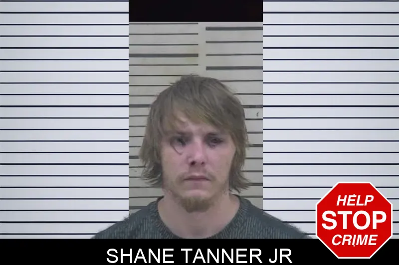 Shane Tanner Jr mugshot