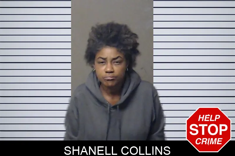 Shanell Collins mugshot – DeKalb County , Georgia Shanell Collins mugshot