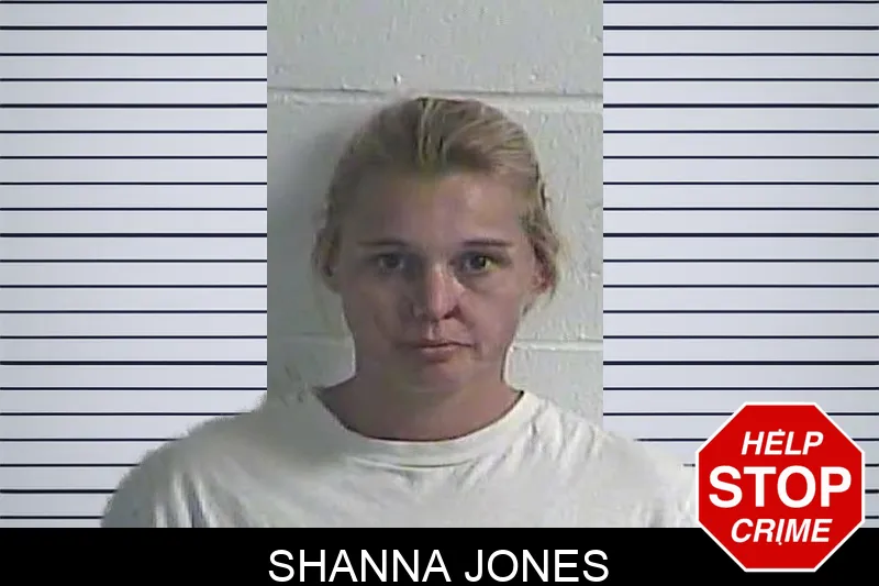 Shanna Jones mugshot – Dawson County , Georgia Shanna Jones mugshot