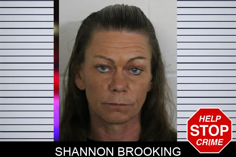 Shannon Brooking mugshot – Floyd County , Georgia Shannon Brooking mugshot