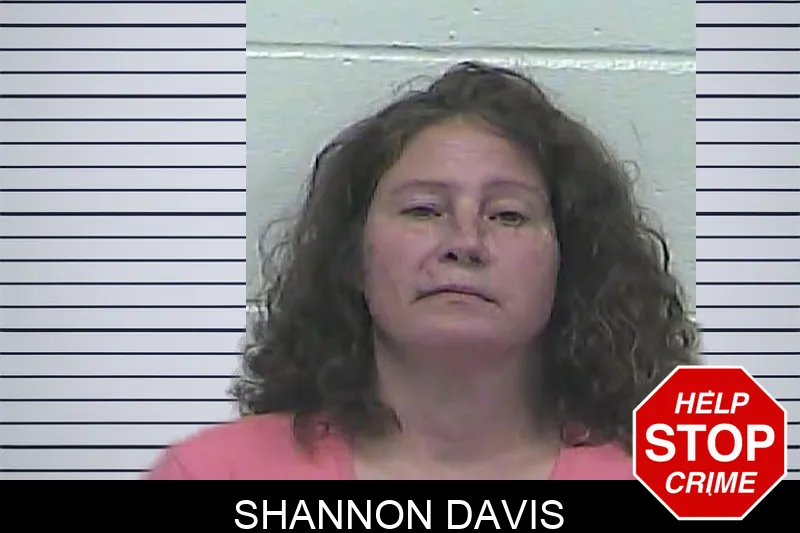 Shannon Davis mugshot – Dawson County , Georgia Shannon Davis mugshot