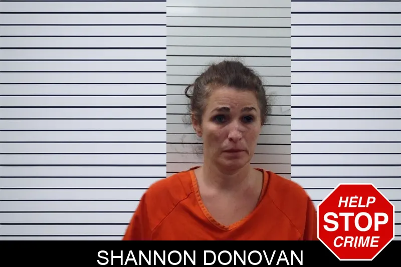 Shannon Donovan mugshot – Pickens County , Georgia Shannon Donovan mugshot
