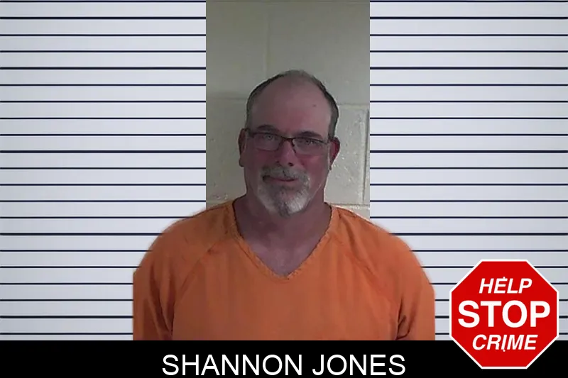 Shannon Jones mugshot – Fannin County , Georgia Shannon Jones mugshot