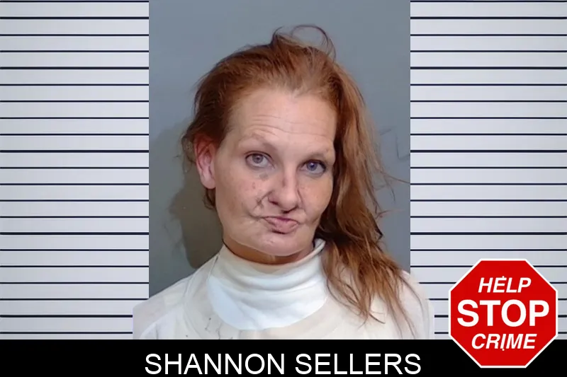 Shannon Sellers mugshot