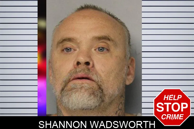 Shannon Wadsworth mugshot – Hall County , Georgia Shannon Wadsworth mugshot