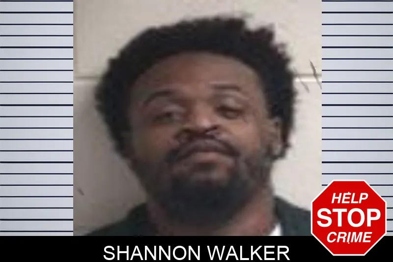 Shannon Walker mugshot – Henry County , Georgia Shannon Walker mugshot