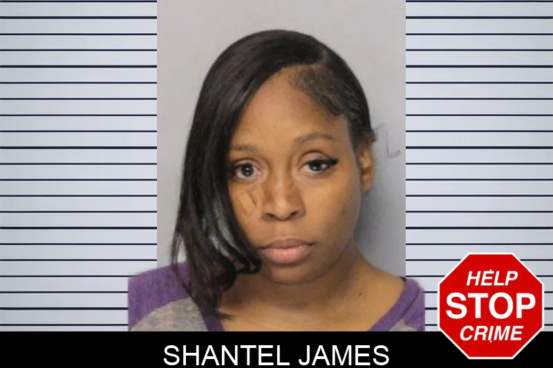 Shantel James mugshot – Hall County , Georgia Shantel James mugshot