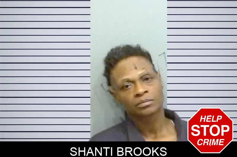 Shanti Brooks mugshot – Fulton County , Georgia Shanti Brooks mugshot