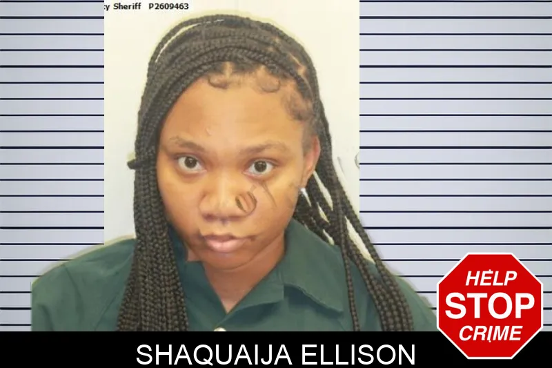 Shaquaija Ellison mugshot – Chatham County , Georgia Shaquaija Ellison mugshot