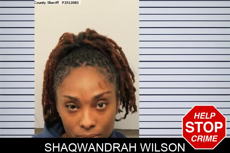 Shaqwandrah Wilson mugshot – Chatham County , Georgia Shaqwandrah Wilson mugshot