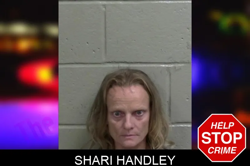 Shari Handley mugshot