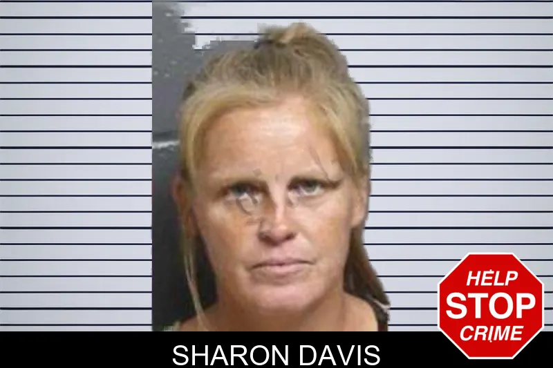 Sharon Davis mugshot – Bacon County , Georgia Sharon Davis mugshot